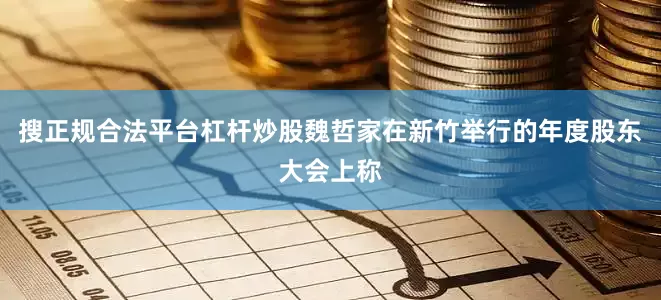 搜正规合法平台杠杆炒股魏哲家在新竹举行的年度股东大会上称