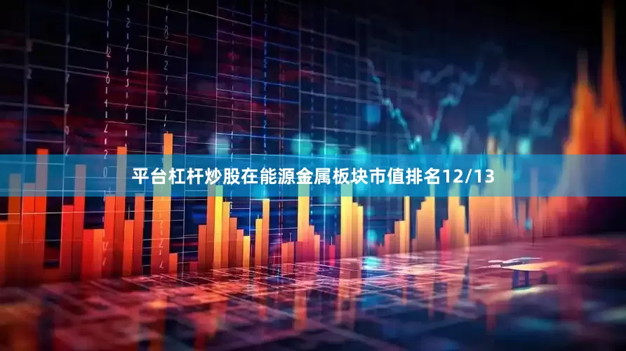 平台杠杆炒股在能源金属板块市值排名12/13